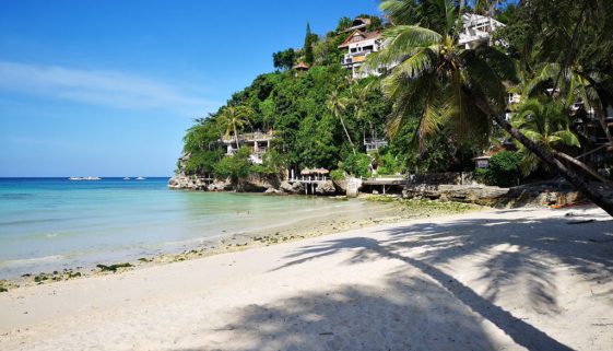 Strand, Meer und Palmen