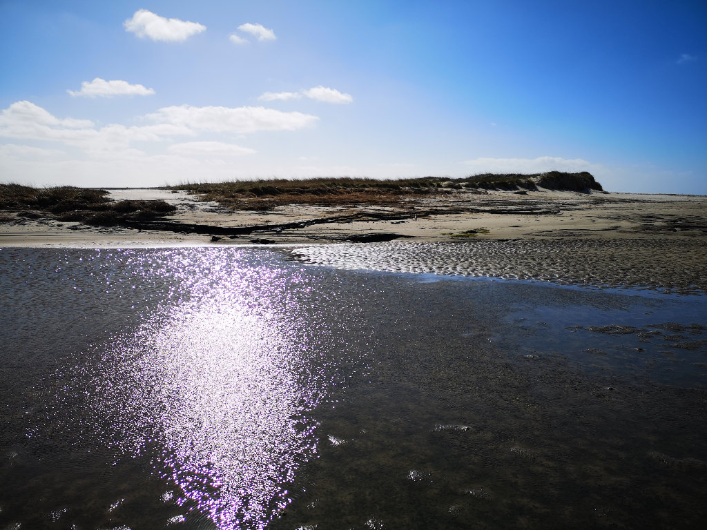 Atemberaubende Natur am Strand