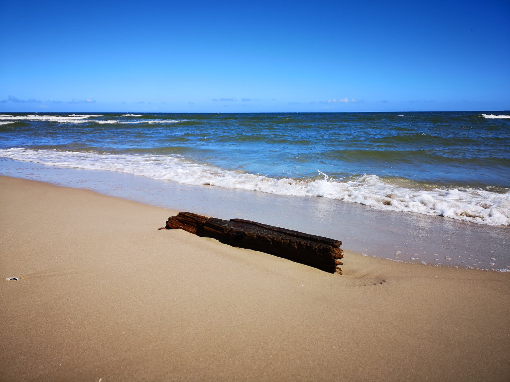 Naturerlebnis auf der Insel Usedom 