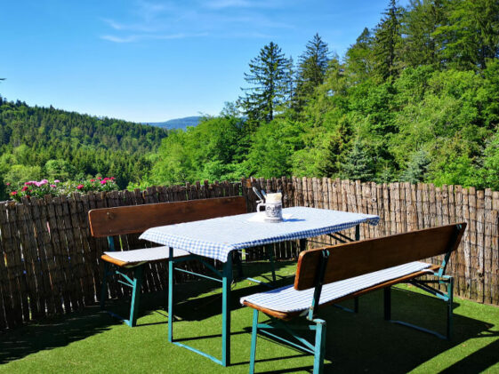 Ausflugstipps Schwarzwald Wanderung Ausflugsziel Nordschwarzwald: Wanderung auf Quellenerlebnispfad Ausflugstipp Schwarzwald Bad Herrenalb