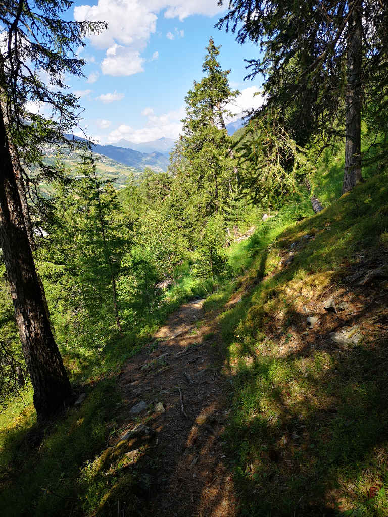 Mineralwasserweg in Scuol Mineralwasserweg in Scuol