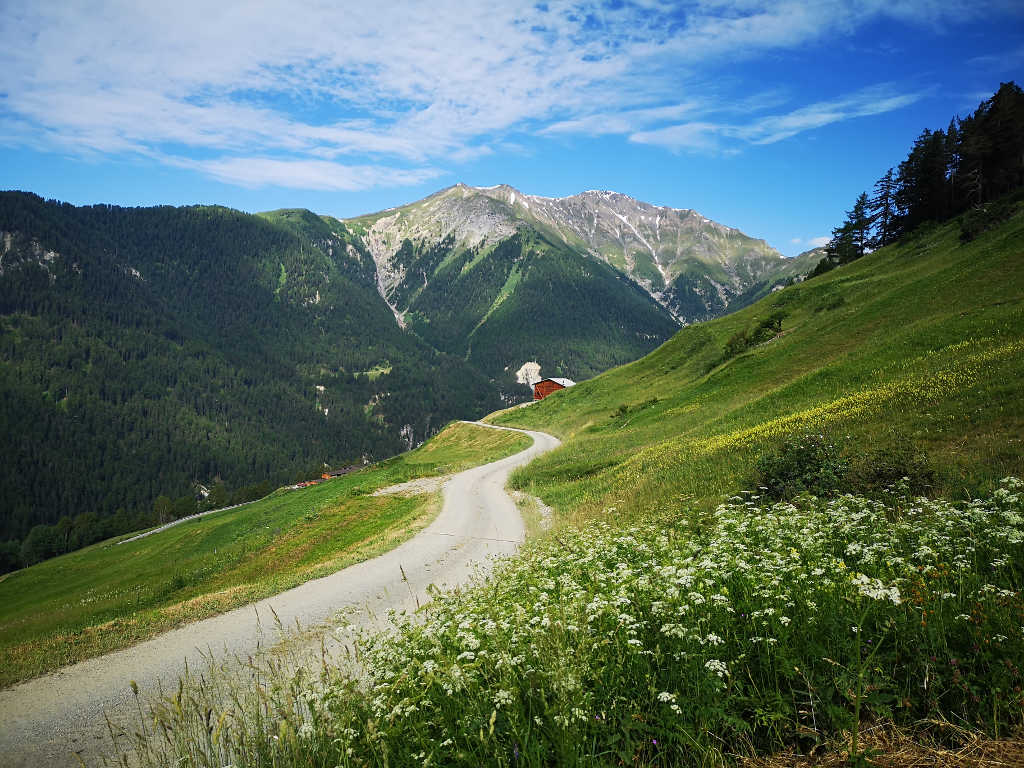 Bewegung an der frischen Luft Bewegung an der frischen Luft