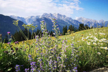 Wandern in der Schweiz: Via Engiadina