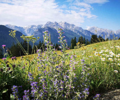 Wandern in der Schweiz: Via Engiadina