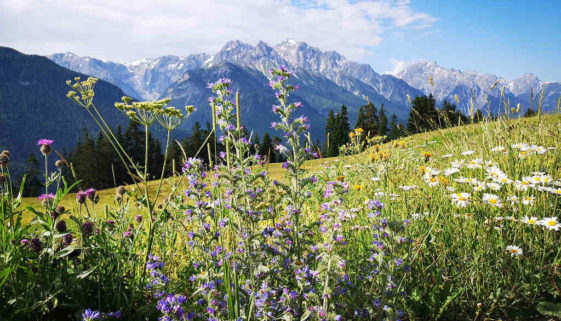 Wandern in der Schweiz: Via Engiadina