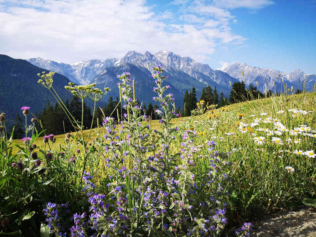 Wandern in der Schweiz auf der Via Engiadina