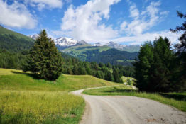 Wandern in der Schweiz