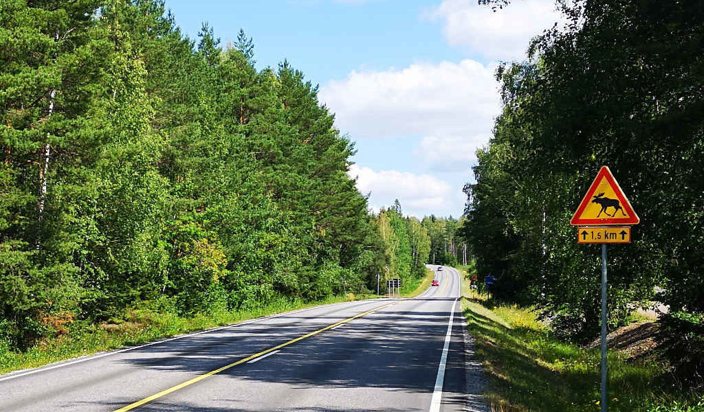 Auf der Ringstrasse 192 durch den Schärengarten fahren!