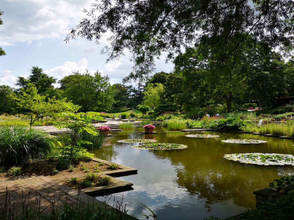 Ein Stadtpark in Hamburg