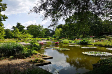 Ein Stadtpark in Hamburg
