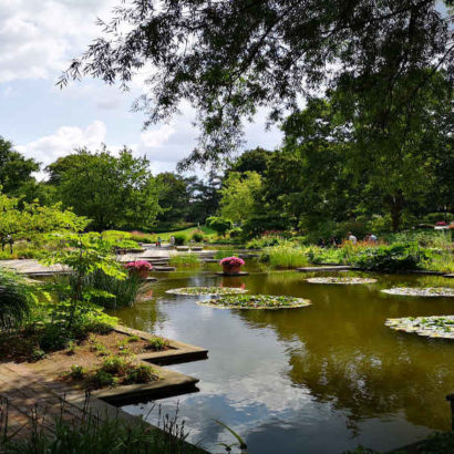 Ein Stadtpark in Hamburg