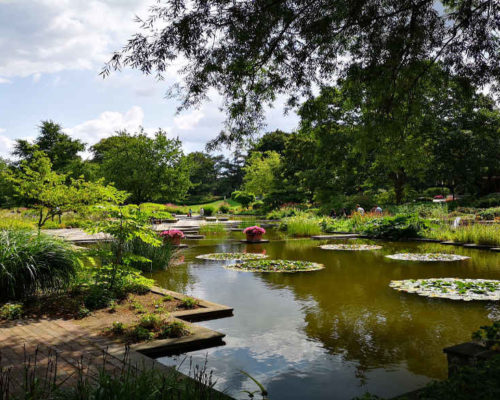 Ein Stadtpark in Hamburg