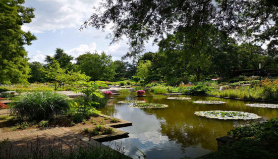 Ein Stadtpark in Hamburg