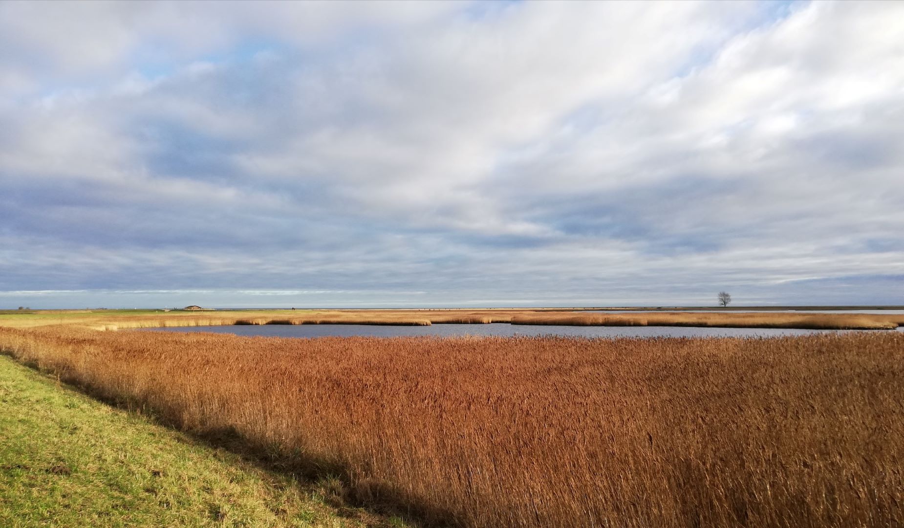 Naturschutzgebiet Schleimünde ©FlipFlop Blog