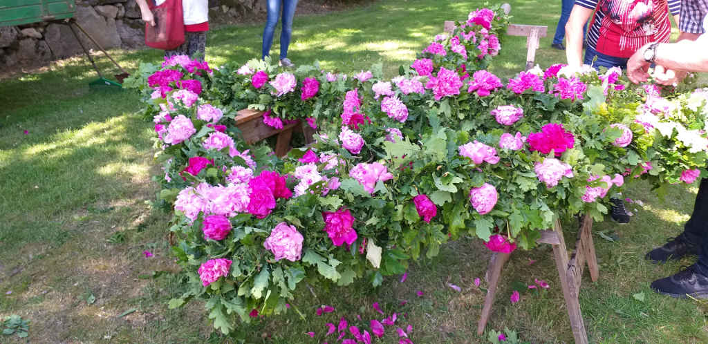 Auf zum Mittsommerfest in Schweden Auf zum Mittsommerfest in Schweden