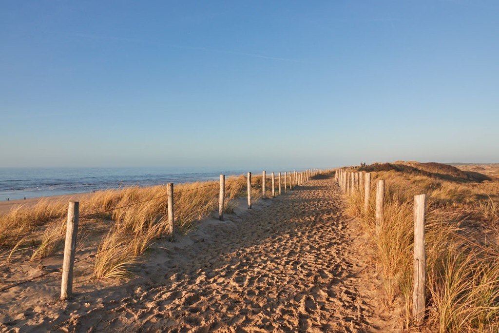 Natur pur in Egmond aan Zee ©Bitte Richtung Meer