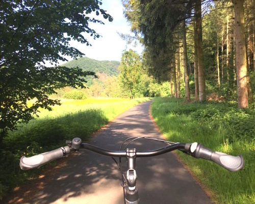 Radtour Deutschland - Radtour Nahe-Radweg