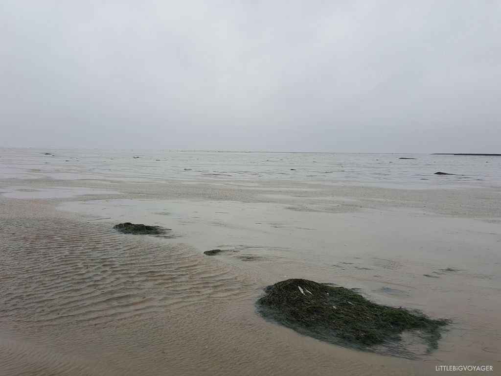 Kurzurlaub Nordsee bei Nordstrand im Regen ©littlebigvoyager