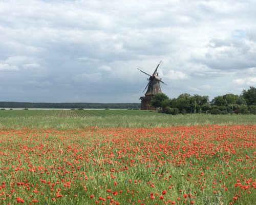 Radtour Norddeutschland im Grünen