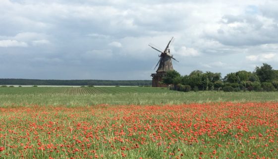 Radtour Norddeutschland im Grünen