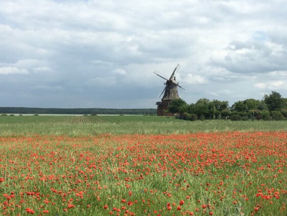 Radtour Norddeutschland im Grünen