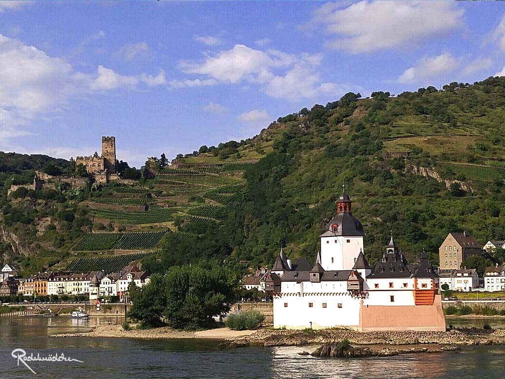 Burg Pfalzgrafenstein auf der Insel Falkenau ©Radelmädchen