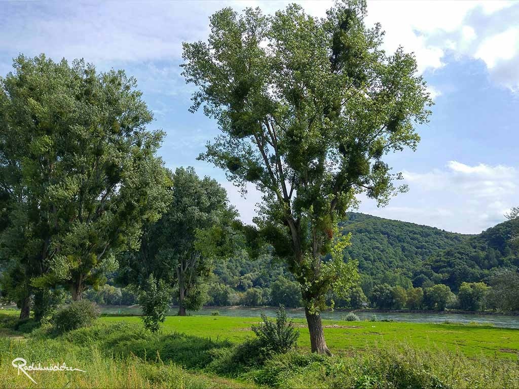 Auch auf der Radtour: idyllische Landschaft, die zum Verweilen einlädt ©Radelmädchen