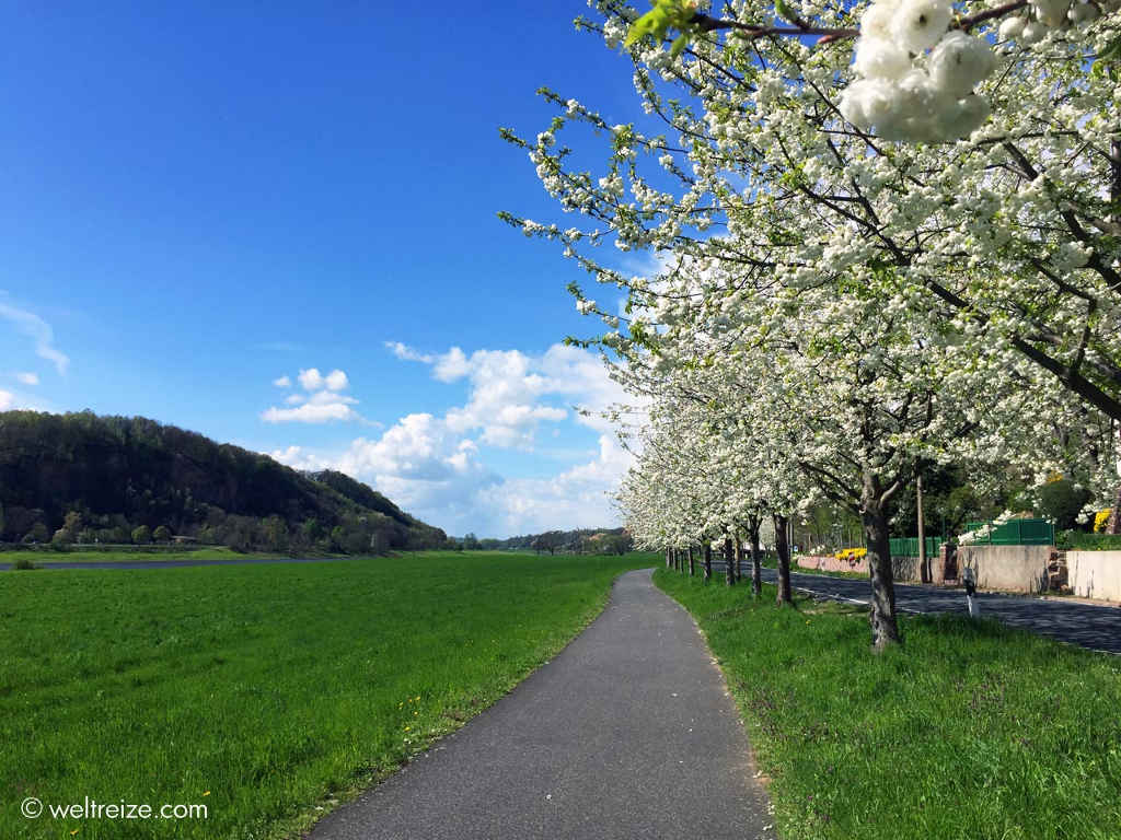 Idyllische Natur von Dresden nach Riesa ©Weltreize