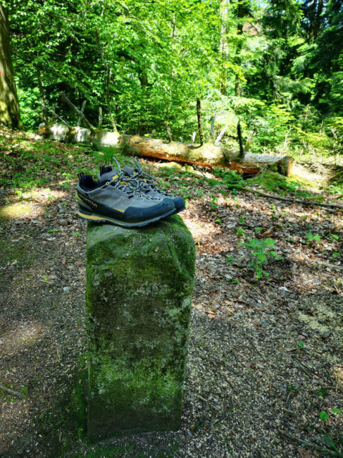 Waldbaden ohne Schuhe - Barfußlaufen ist gesund