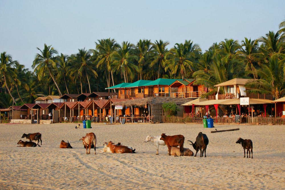 Agonda Strand, Indien ©Escape von Reality