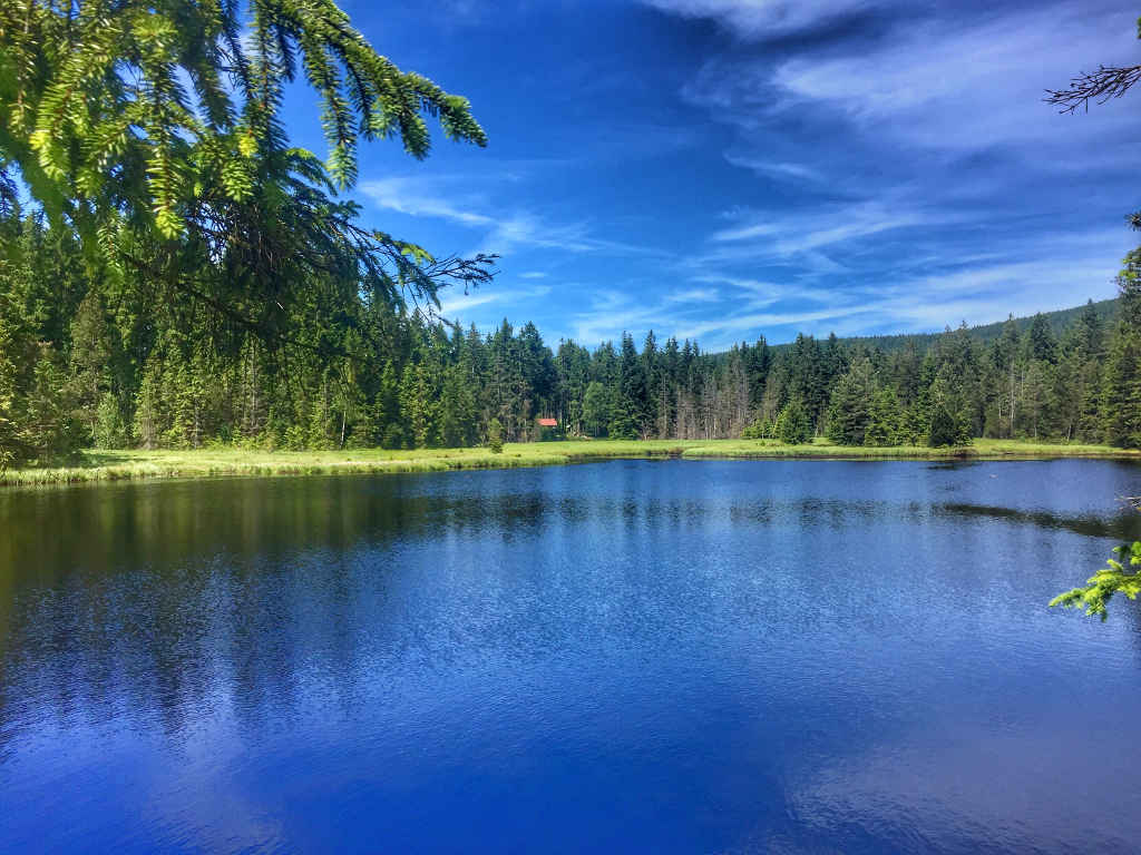 Wunderschöner Pausenplatz am Fichtelsee ©MYTHOS EBIKE