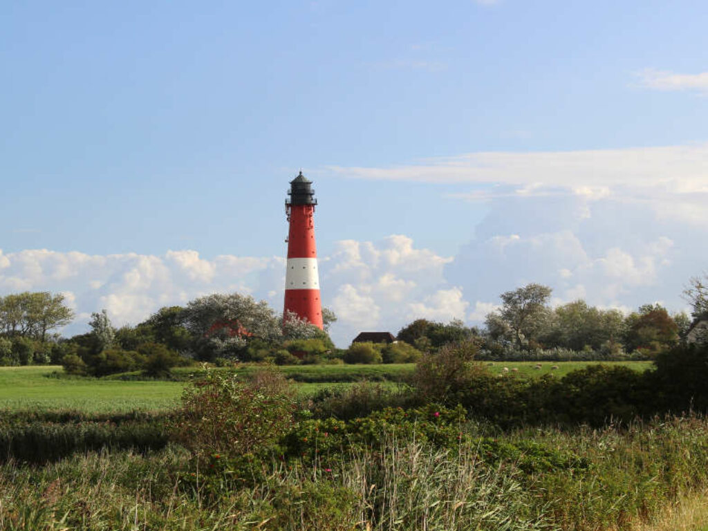 Schleswig-Holstein mit Leuchtturm im Grünen Copyright TA.SH