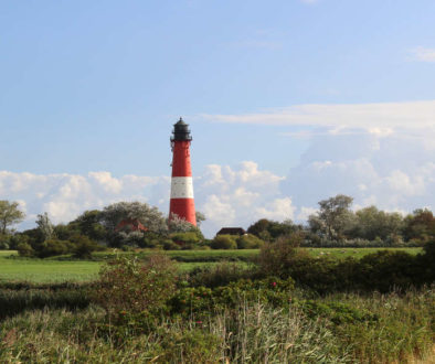 Schleswig-Holstein mit Leuchtturm im Grünen Copyright TA.SH