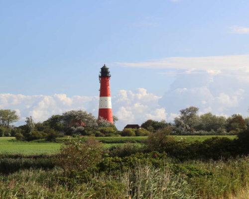 Schleswig-Holstein mit Leuchtturm im Grünen Copyright TA.SH