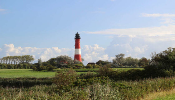 Schleswig-Holstein mit Leuchtturm im Grünen Copyright TA.SH