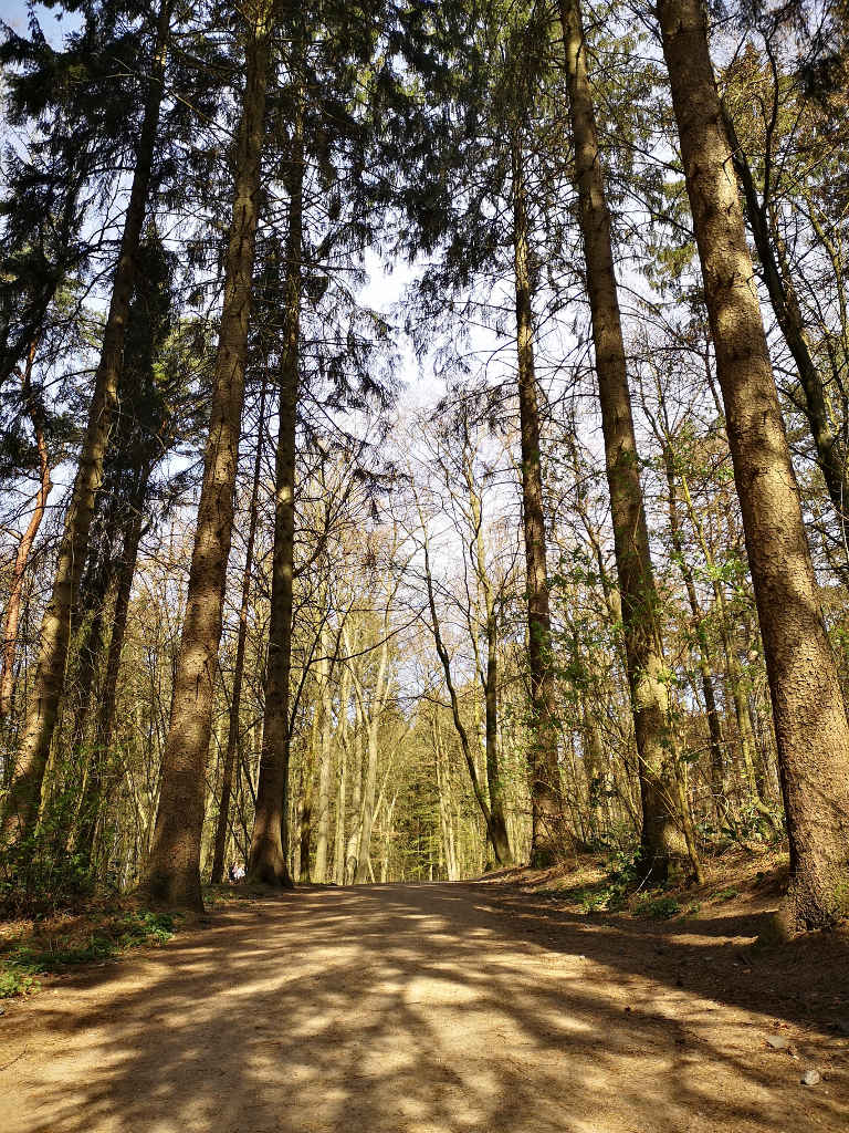 Waldbaden ab in den Volkspark