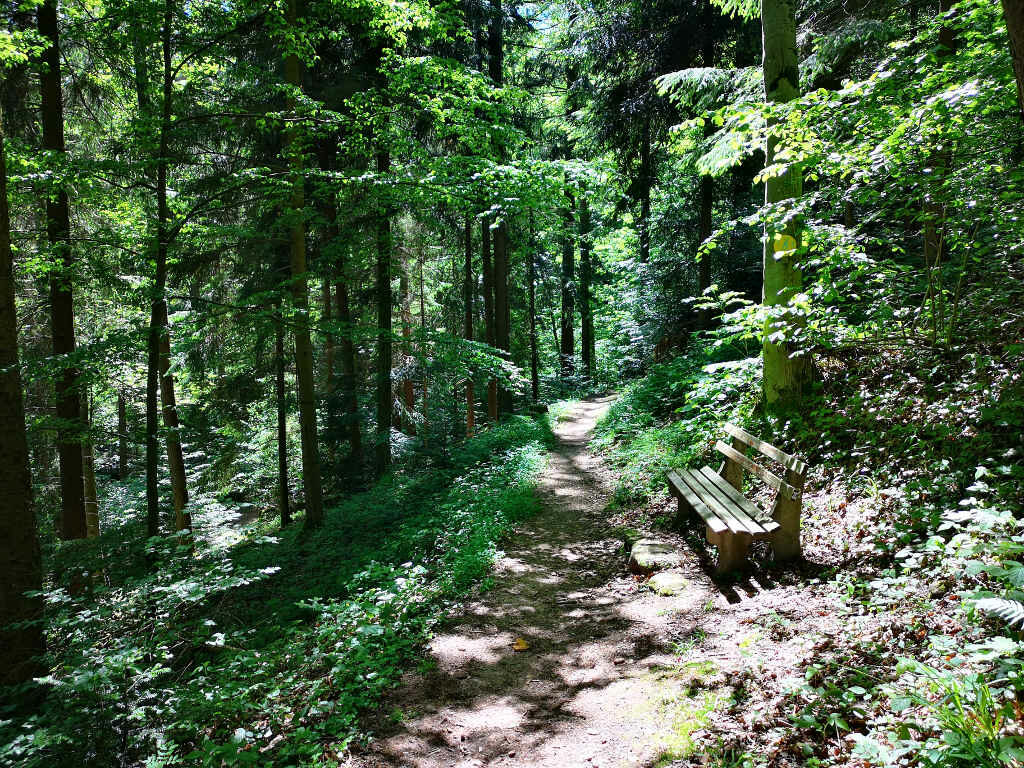 Waldbaden aus Japan im Schwarzwald