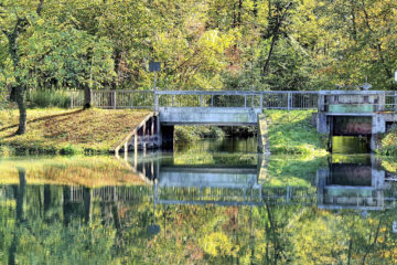 Radtour Schwarzwald Breisgau Altarm des Rheins