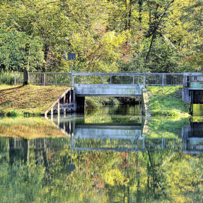 Radtour Schwarzwald Breisgau Altarm des Rheins