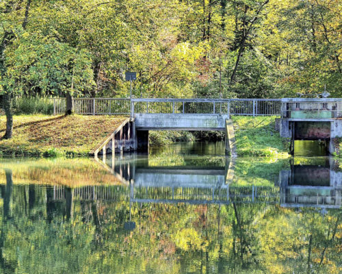 Radtour Schwarzwald Breisgau Altarm des Rheins