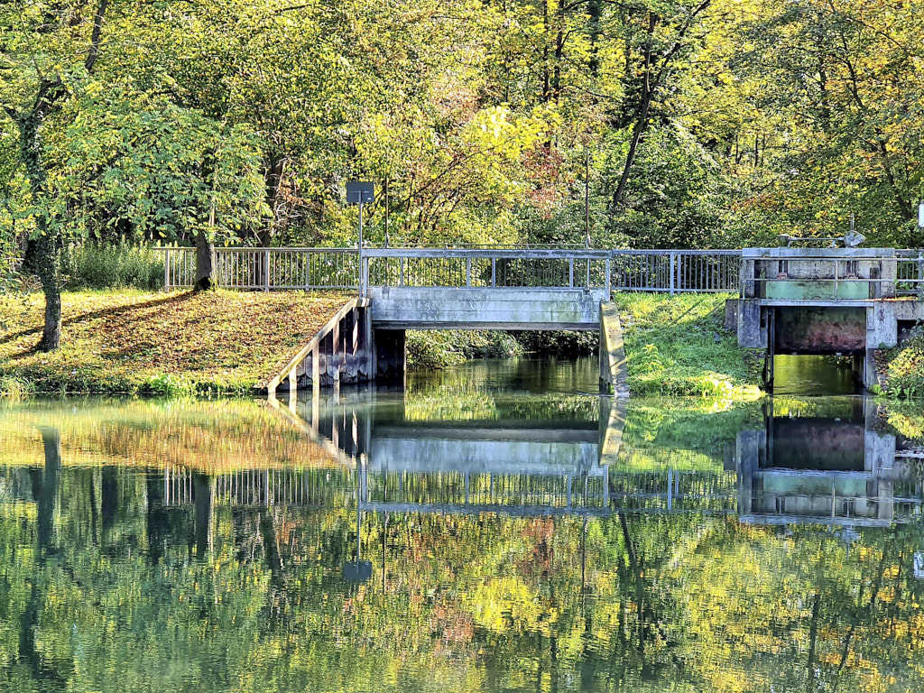 Radtour Schwarzwald Breisgau Altarm des Rheins