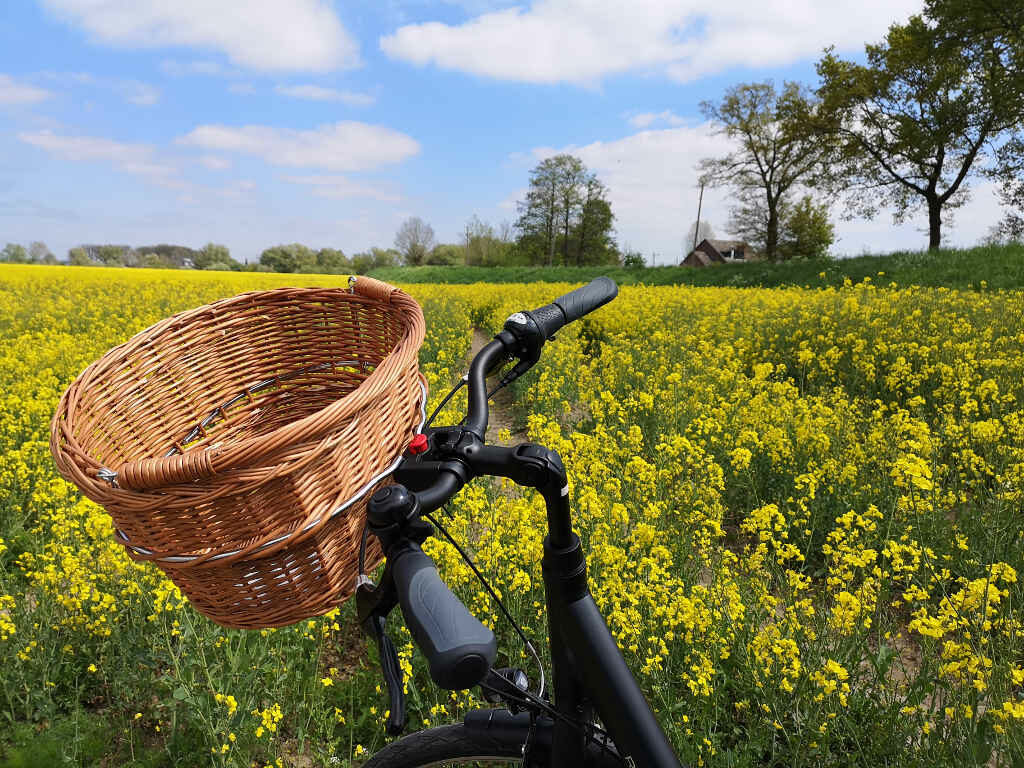 Radtour Hamburg Vier- und Marschlande