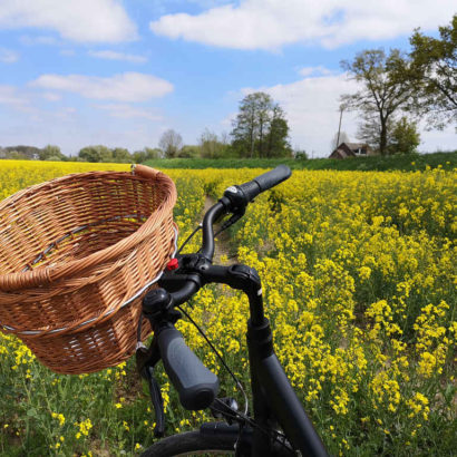 Radtour Hamburg Vier- und Marschlande