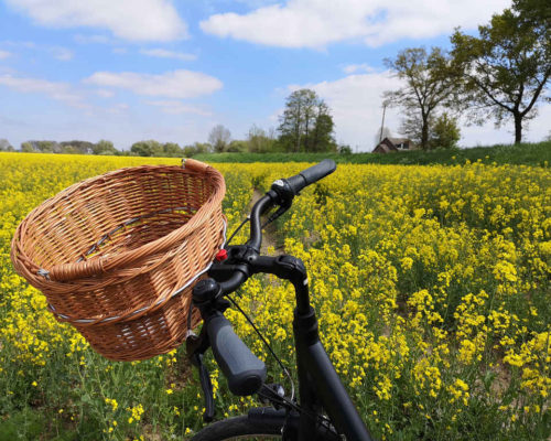 Radtour Hamburg Vier- und Marschlande