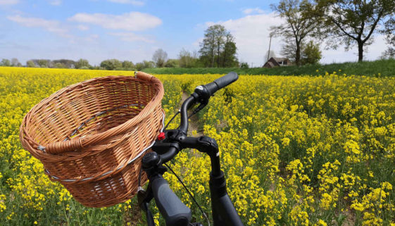 Radtour Hamburg Vier- und Marschlande