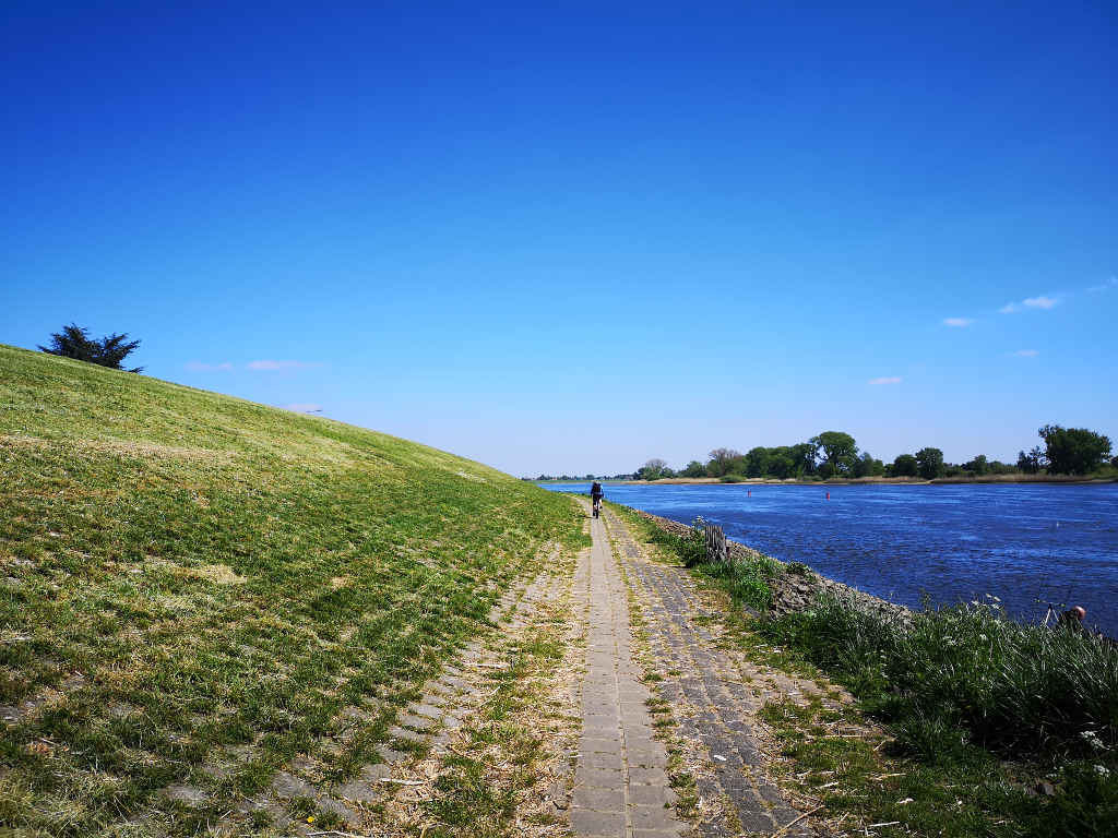 Rad- und Wanderweg an der Elbe