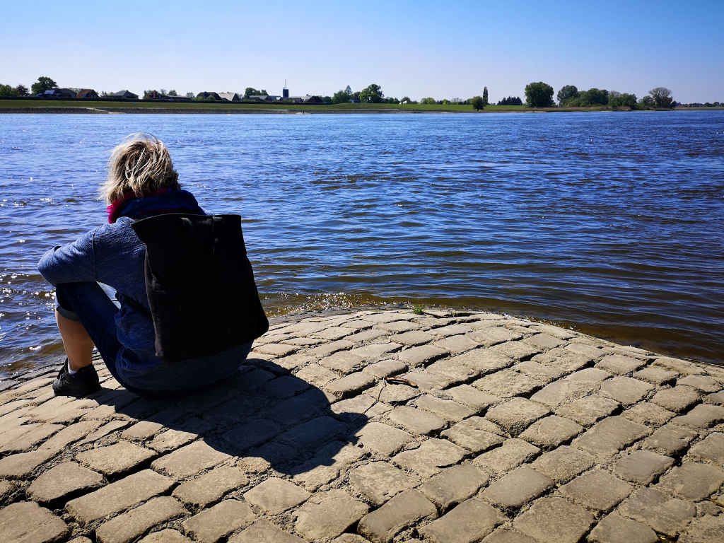 Blick auf die Elbe