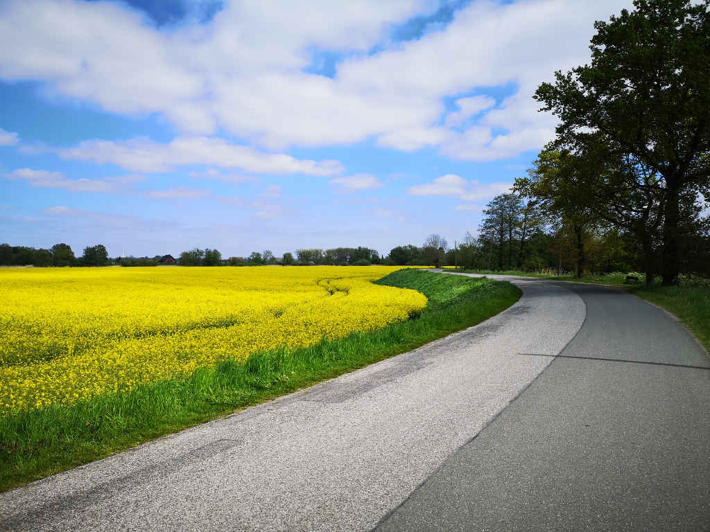 Überwiegend asphaltierte Straßen bis zur Elbe