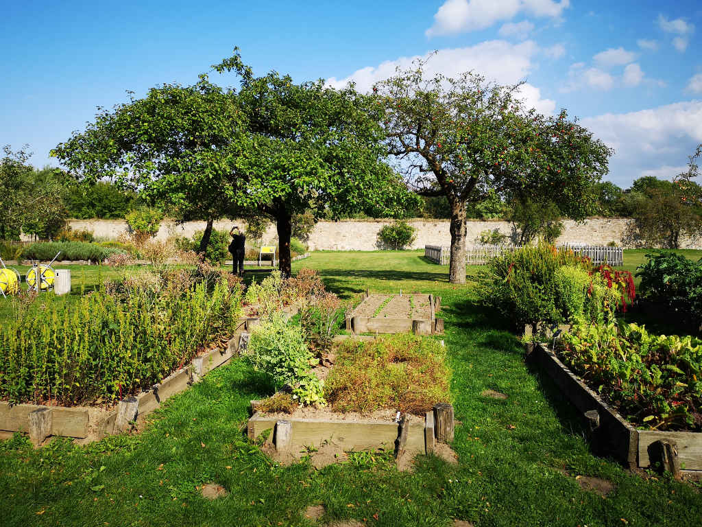 Braunschweiger Jakobsweg: Kloster-Innenhof mit Obst-, Gemüse- & Kräutergarten