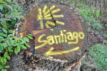 Pilgerwege Deutschland - Zeichen nach Santiago auf Baumstamm